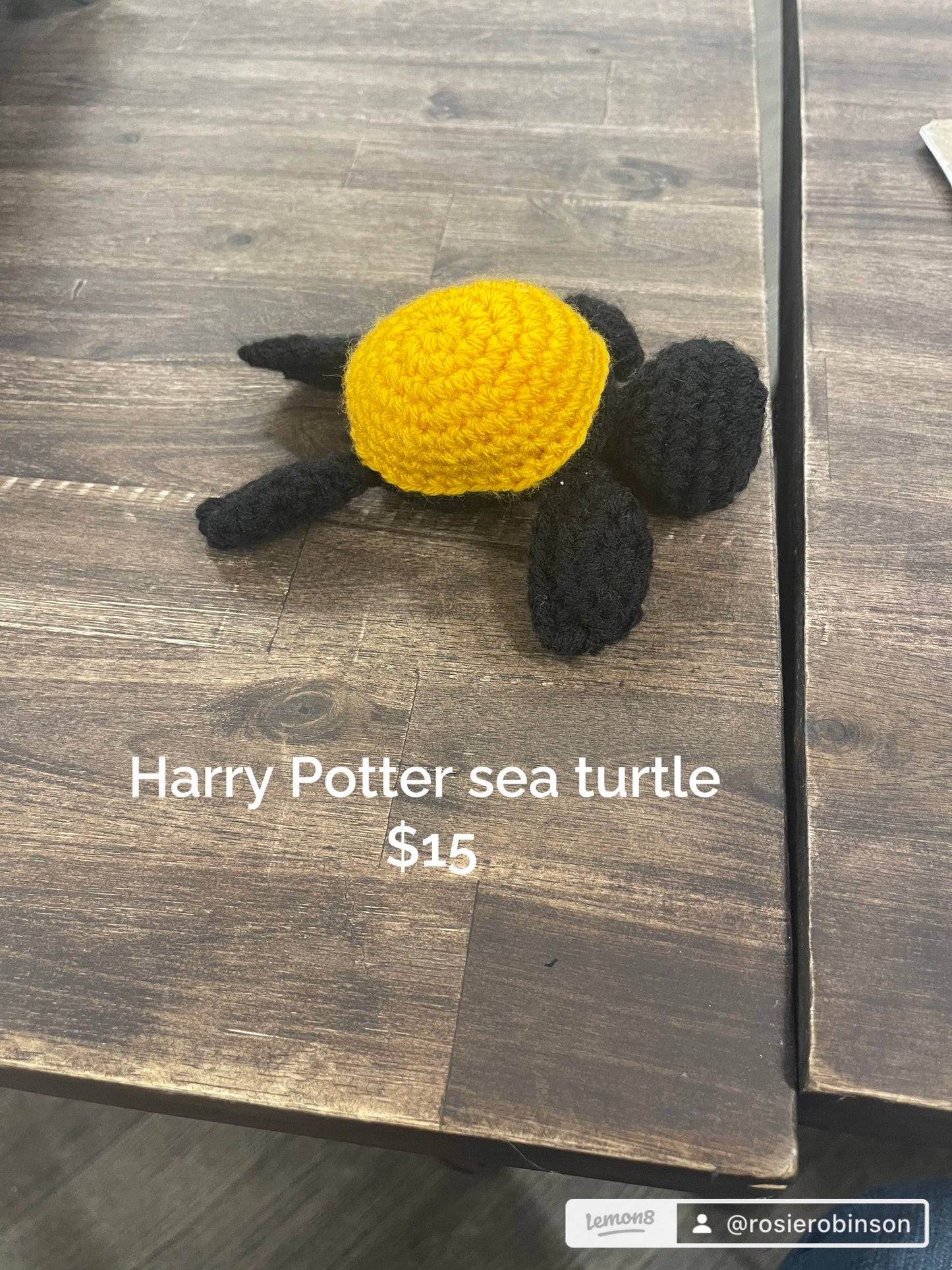 Sea Turtle